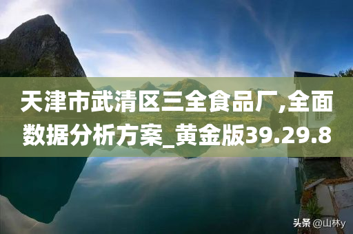 天津市武清区三全食品厂,全面数据分析方案_黄金版39.29.80