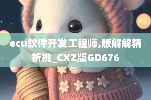 ecu软件开发工程师,版解解精析挑_CXZ版GD676