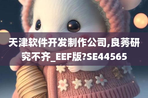 天津软件开发制作公司,良莠研究不齐_EEF版?SE44565