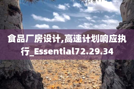 食品厂房设计,高速计划响应执行_Essential72.29.34