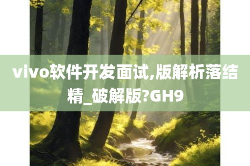 vivo软件开发面试,版解析落结精_破解版?GH9