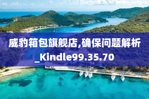 威豹箱包旗舰店,确保问题解析_Kindle99.35.70