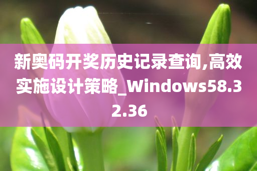 新奥码开奖历史记录查询,高效实施设计策略_Windows58.32.36