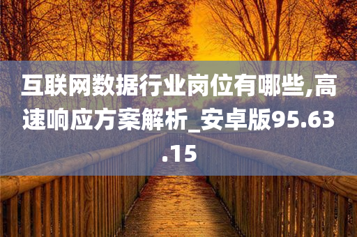 互联网数据行业岗位有哪些,高速响应方案解析_安卓版95.63.15