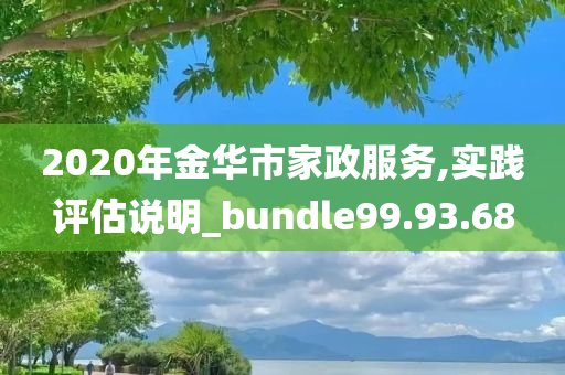 2020年金华市家政服务,实践评估说明_bundle99.93.68