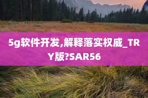 5g软件开发,解释落实权威_TRY版?SAR56