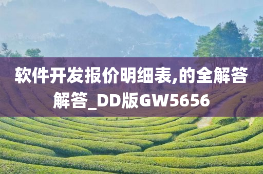 软件开发报价明细表,的全解答解答_DD版GW5656