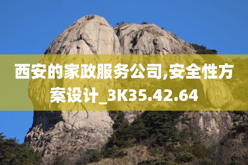 西安的家政服务公司,安全性方案设计_3K35.42.64