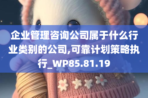 企业管理咨询公司属于什么行业类别的公司,可靠计划策略执行_WP85.81.19