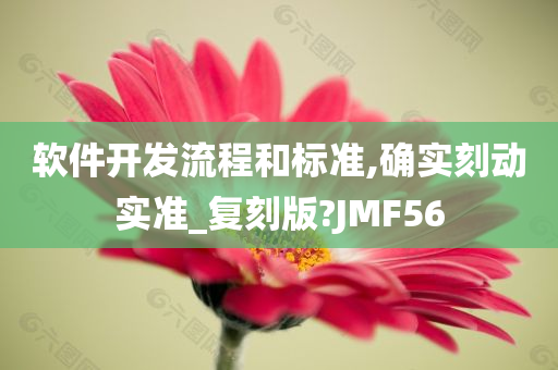 软件开发流程和标准,确实刻动实准_复刻版?JMF56