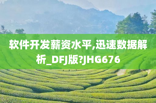 软件开发薪资水平,迅速数据解析_DFJ版?JHG676