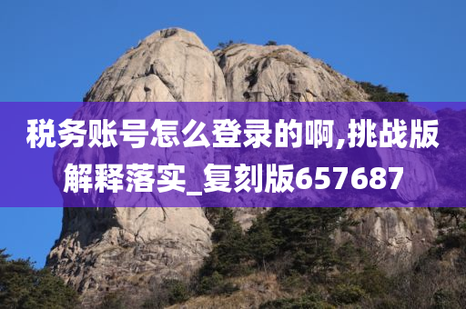 税务账号怎么登录的啊,挑战版解释落实_复刻版657687