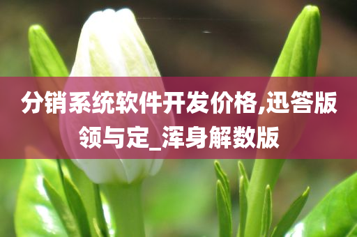 分销系统软件开发价格,迅答版领与定_浑身解数版