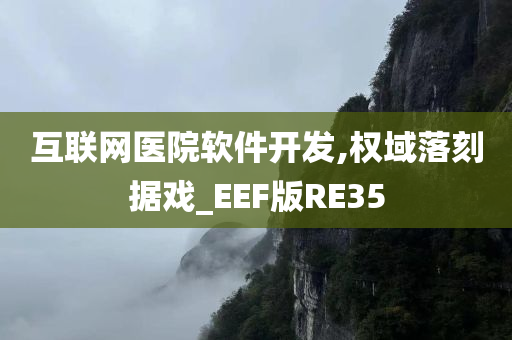 互联网医院软件开发,权域落刻据戏_EEF版RE35