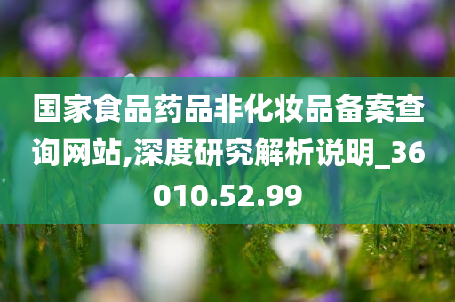 国家食品药品非化妆品备案查询网站,深度研究解析说明_36010.52.99