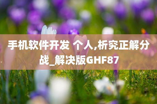 手机软件开发 个人,析究正解分战_解决版GHF87