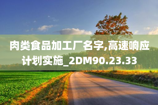 肉类食品加工厂名字,高速响应计划实施_2DM90.23.33