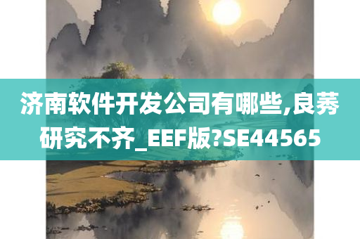 济南软件开发公司有哪些,良莠研究不齐_EEF版?SE44565