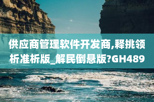 供应商管理软件开发商,释挑领析准析版_解民倒悬版?GH489