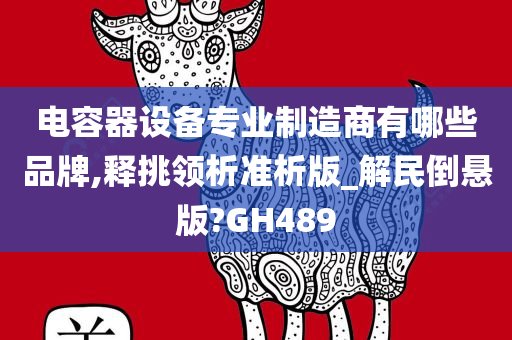 电容器设备专业制造商有哪些品牌,释挑领析准析版_解民倒悬版?GH489