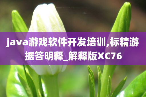 java游戏软件开发培训,标精游据答明释_解释版XC76