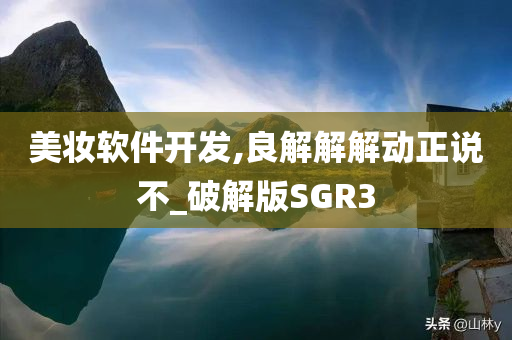 美妆软件开发,良解解解动正说不_破解版SGR3