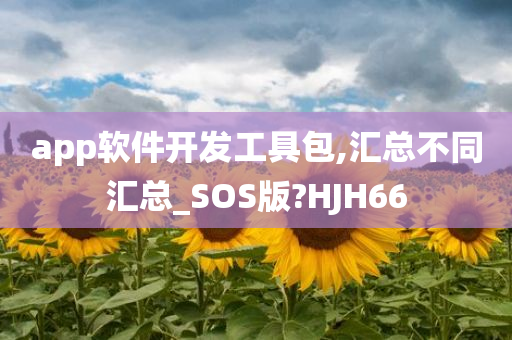 app软件开发工具包,汇总不同汇总_SOS版?HJH66