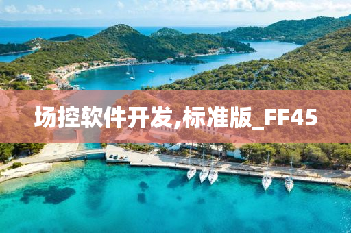 场控软件开发,标准版_FF45