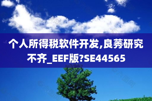 个人所得税软件开发,良莠研究不齐_EEF版?SE44565