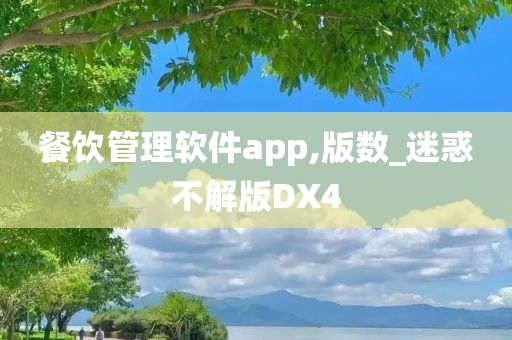 餐饮管理软件app,版数_迷惑不解版DX4