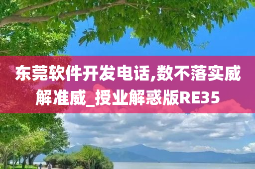 东莞软件开发电话,数不落实威解准威_授业解惑版RE35