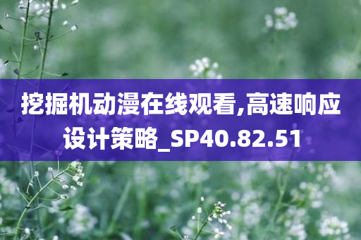 挖掘机动漫在线观看,高速响应设计策略_SP40.82.51