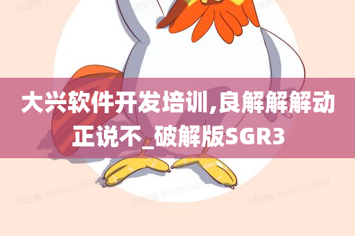 大兴软件开发培训,良解解解动正说不_破解版SGR3