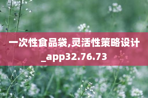 一次性食品袋,灵活性策略设计_app32.76.73