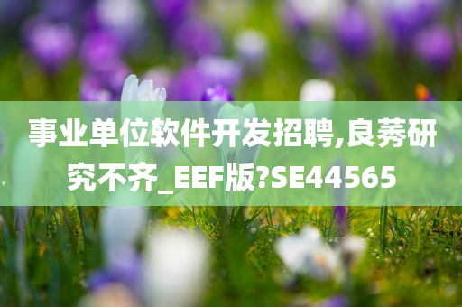 事业单位软件开发招聘,良莠研究不齐_EEF版?SE44565