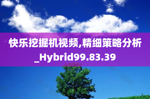 快乐挖掘机视频,精细策略分析_Hybrid99.83.39