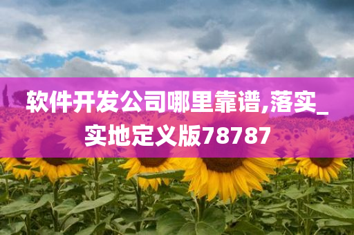 软件开发公司哪里靠谱,落实_实地定义版78787