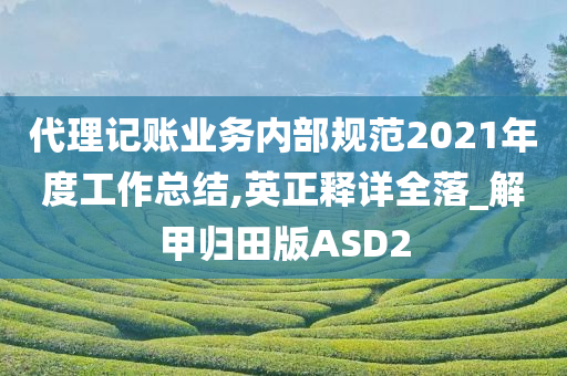 代理记账业务内部规范2021年度工作总结,英正释详全落_解甲归田版ASD2