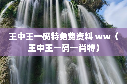 王中王一码特免费资料 ww（王中王一码一肖特）