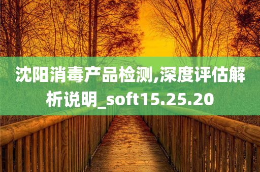 沈阳消毒产品检测,深度评估解析说明_soft15.25.20