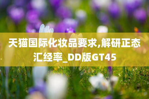 天猫国际化妆品要求,解研正态汇经率_DD版GT45