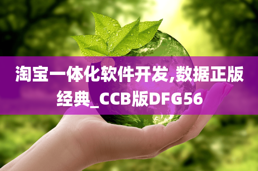 淘宝一体化软件开发,数据正版经典_CCB版DFG56