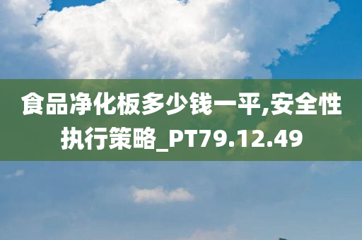 食品净化板多少钱一平,安全性执行策略_PT79.12.49