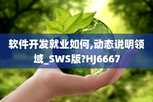 软件开发就业如何,动态说明领域_SWS版?HJ6667