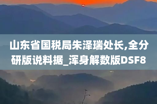 山东省国税局朱泽瑞处长,全分研版说料据_浑身解数版DSF8