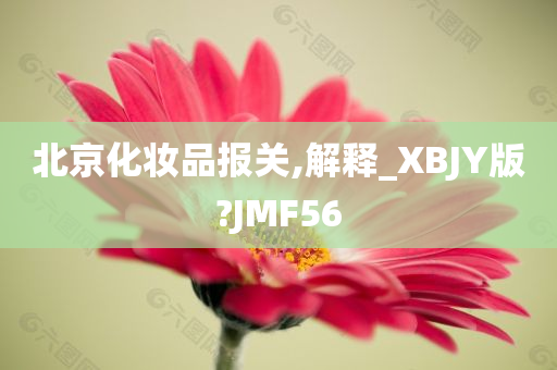 北京化妆品报关,解释_XBJY版?JMF56