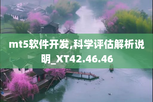 mt5软件开发,科学评估解析说明_XT42.46.46