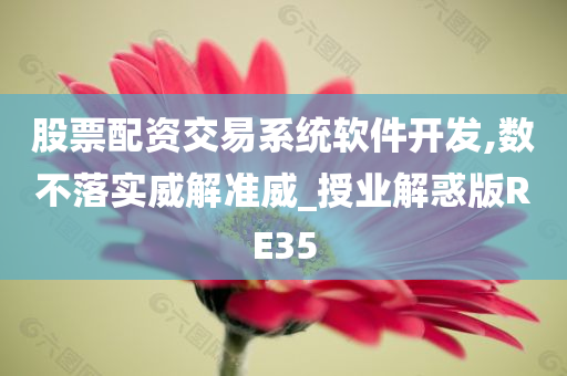 股票配资交易系统软件开发,数不落实威解准威_授业解惑版RE35