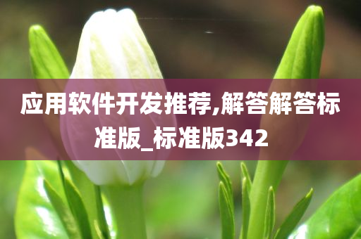 应用软件开发推荐,解答解答标准版_标准版342