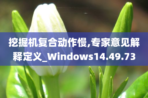 挖掘机复合动作慢,专家意见解释定义_Windows14.49.73